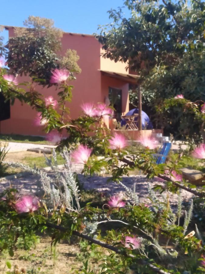 Lobo Guara Hospedagem Loft Alto Paraíso de Goiás Εξωτερικό φωτογραφία