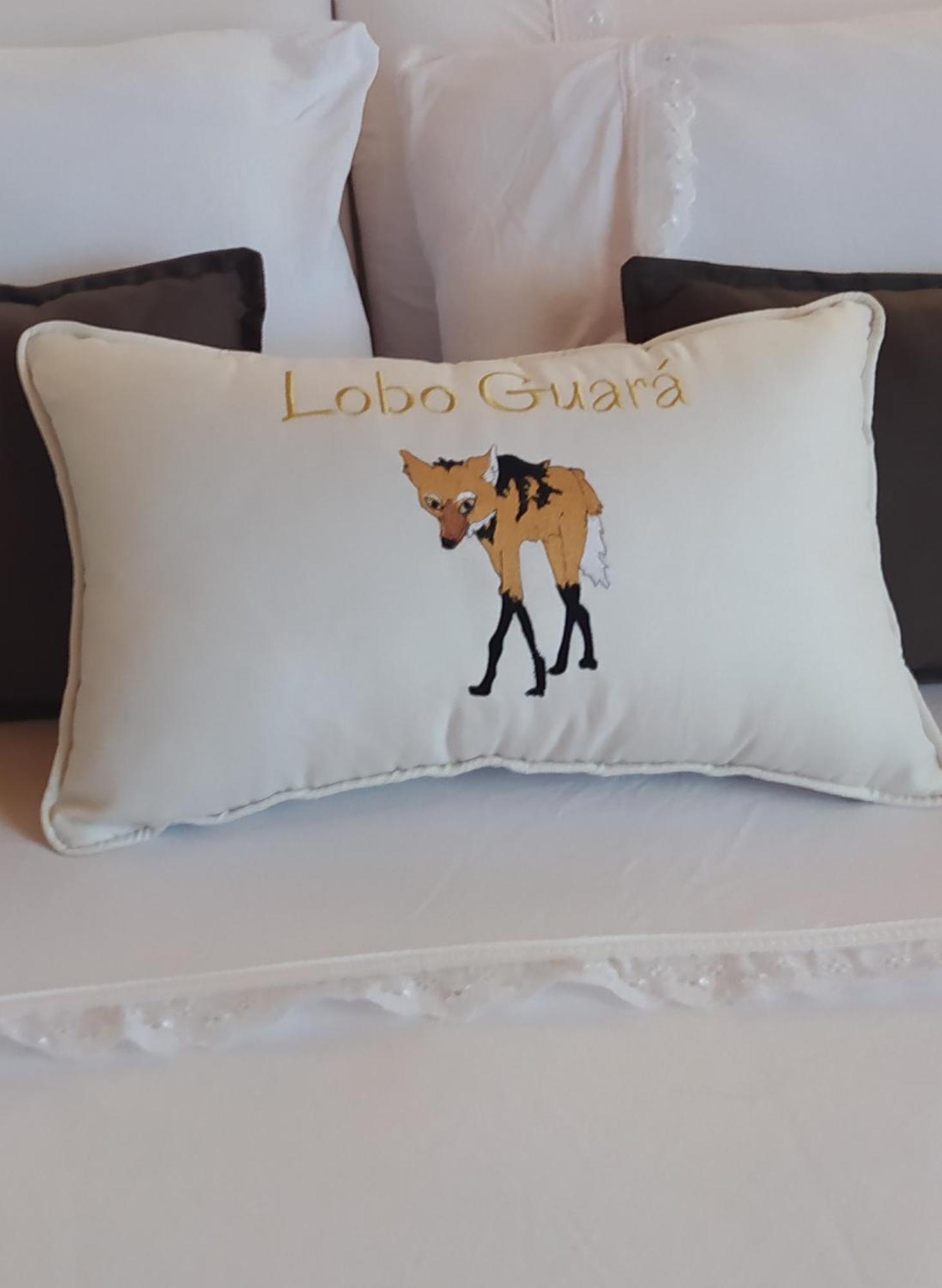 Lobo Guara Hospedagem Loft Alto Paraíso de Goiás Εξωτερικό φωτογραφία